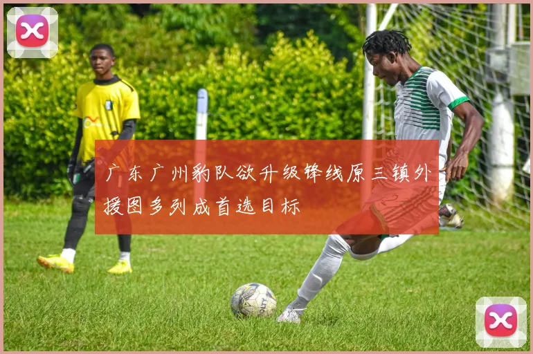 广东广州豹队欲升级锋线原三镇外援图多列成首选目标
