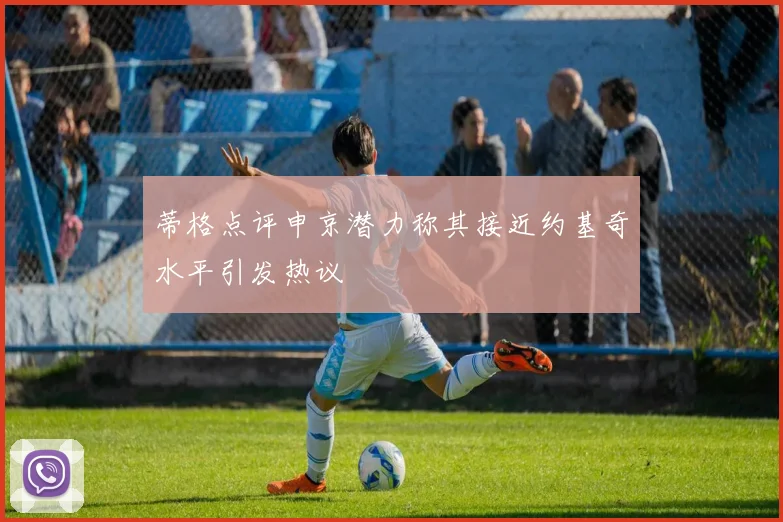 蒂格点评申京潜力称其接近约基奇水平引发热议