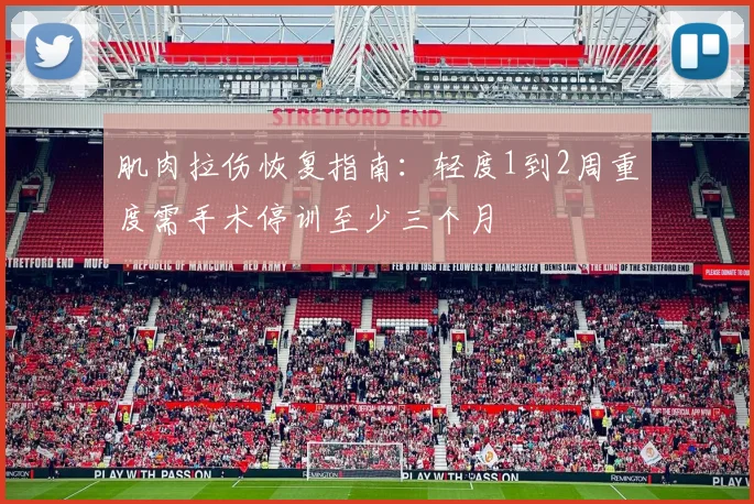 肌肉拉伤恢复指南：轻度1到2周重度需手术停训至少三个月